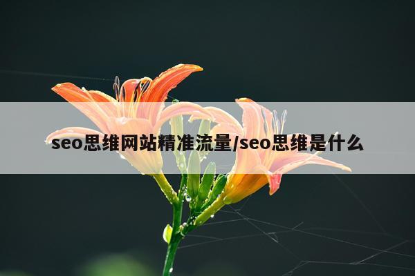 seo思维网站精准流量/seo思维是什么