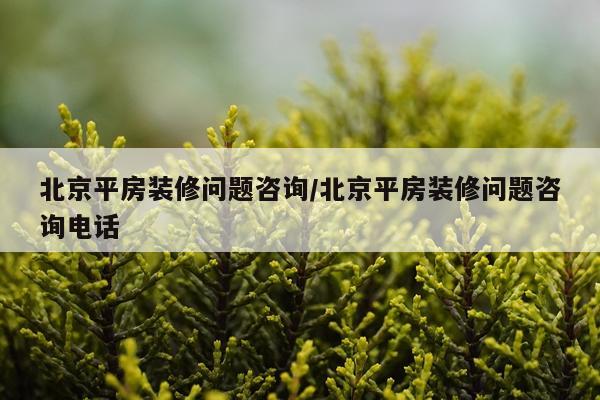 北京平房装修问题咨询/北京平房装修问题咨询电话