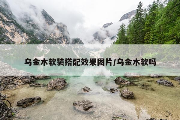 乌金木软装搭配效果图片/乌金木软吗
