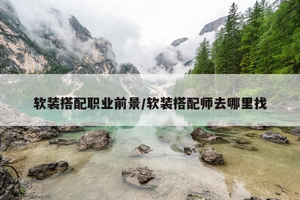 软装搭配职业前景/软装搭配师去哪里找
