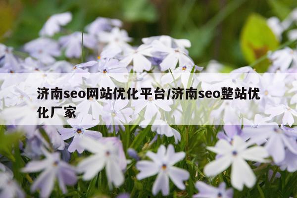 济南seo网站优化平台/济南seo整站优化厂家
