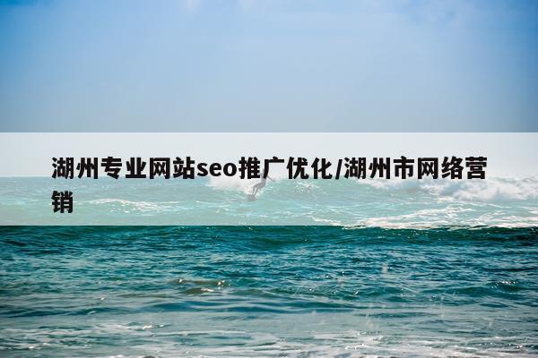 湖州专业网站seo推广优化/湖州市网络营销