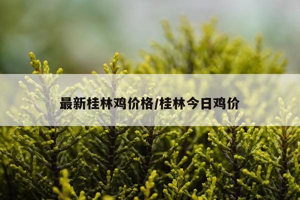 最新桂林鸡价格/桂林今日鸡价