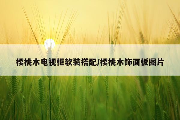 樱桃木电视柜软装搭配/樱桃木饰面板图片