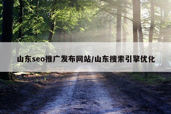 山东seo推广发布网站/山东搜索引擎优化