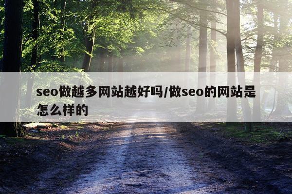 seo做越多网站越好吗/做seo的网站是怎么样的