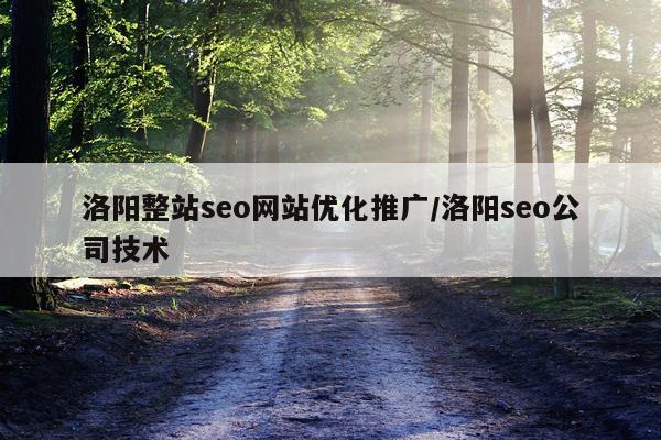 洛阳整站seo网站优化推广/洛阳seo公司技术