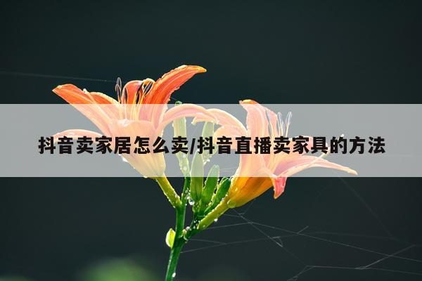 抖音卖家居怎么卖/抖音直播卖家具的方法