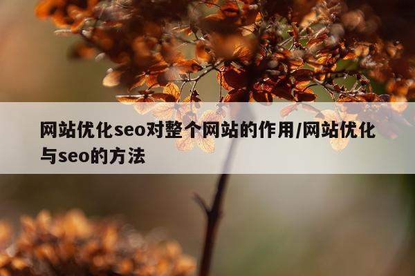 网站优化seo对整个网站的作用/网站优化与seo的方法
