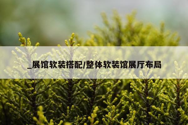 _展馆软装搭配/整体软装馆展厅布局