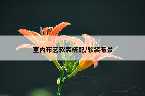 室内布艺软装搭配/软装布景
