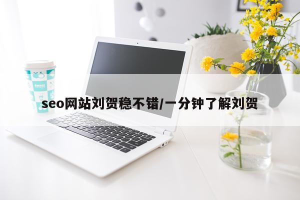 seo网站刘贺稳不错/一分钟了解刘贺