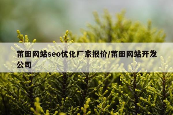 莆田网站seo优化厂家报价/莆田网站开发公司