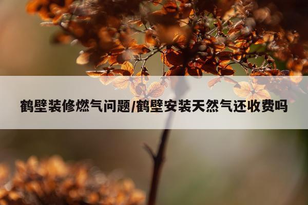 鹤壁装修燃气问题/鹤壁安装天然气还收费吗