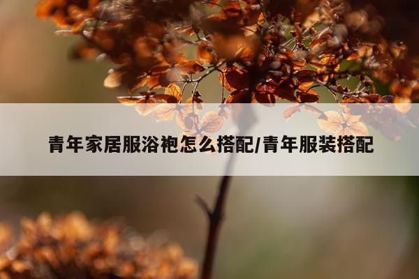 青年家居服浴袍怎么搭配/青年服装搭配