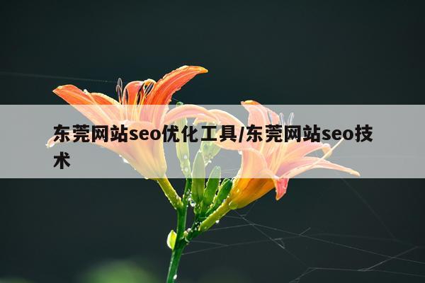 东莞网站seo优化工具/东莞网站seo技术