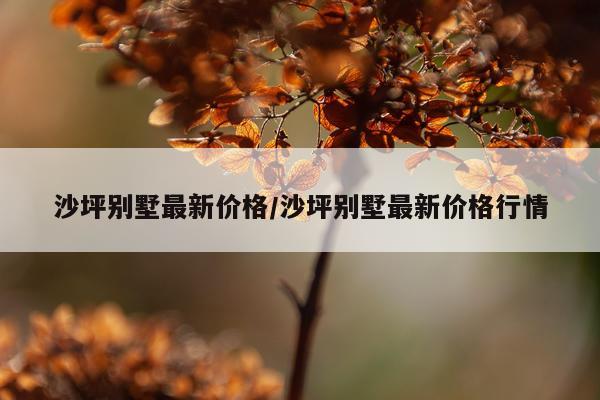 沙坪别墅最新价格/沙坪别墅最新价格行情
