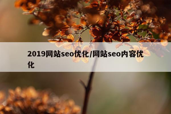2019网站seo优化/网站seo内容优化