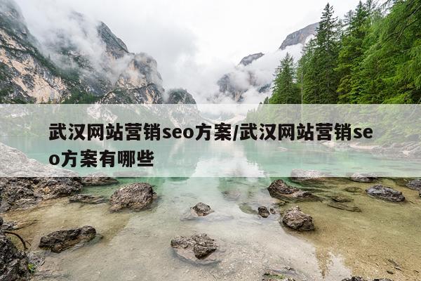 武汉网站营销seo方案/武汉网站营销seo方案有哪些