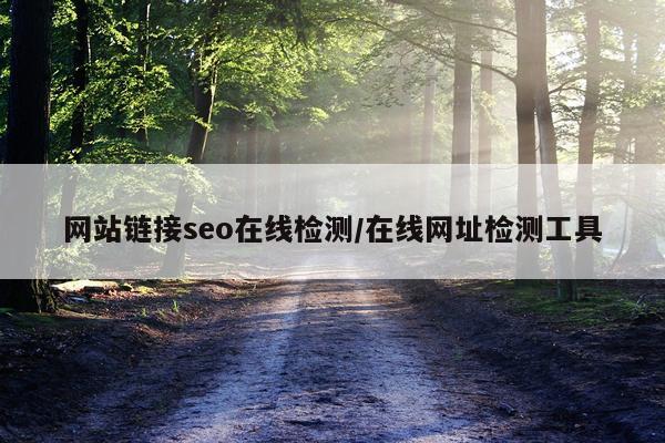 网站链接seo在线检测/在线网址检测工具