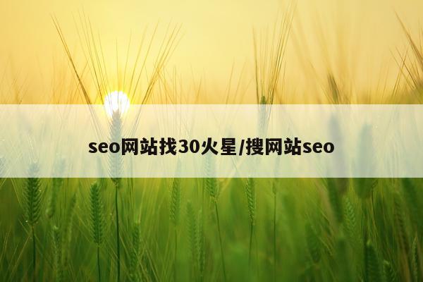 seo网站找30火星/搜网站seo