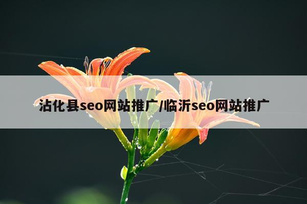 沾化县seo网站推广/临沂seo网站推广