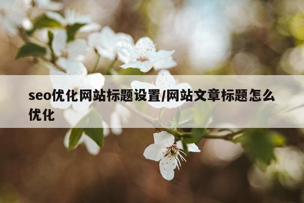 seo优化网站标题设置/网站文章标题怎么优化