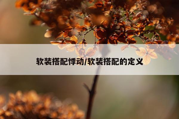 软装搭配悸动/软装搭配的定义