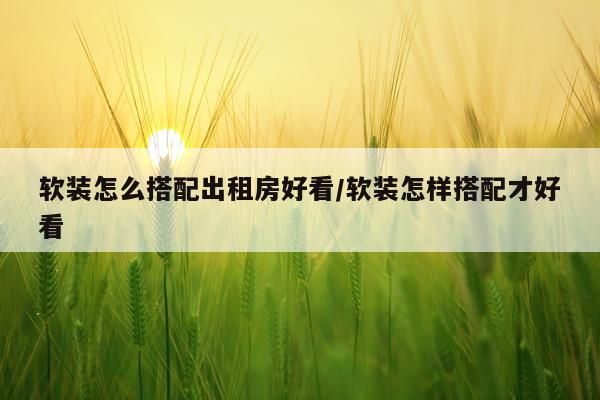 软装怎么搭配出租房好看/软装怎样搭配才好看