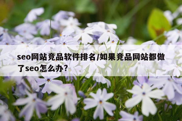 seo网站竞品软件排名/如果竞品网站都做了seo怎么办?