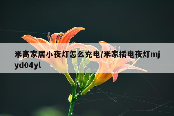 米高家居小夜灯怎么充电/米家插电夜灯mjyd04yl