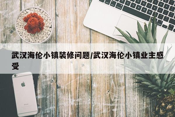武汉海伦小镇装修问题/武汉海伦小镇业主感受