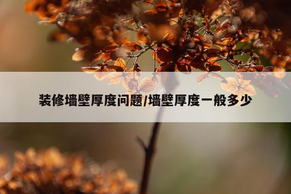 装修墙壁厚度问题/墙壁厚度一般多少