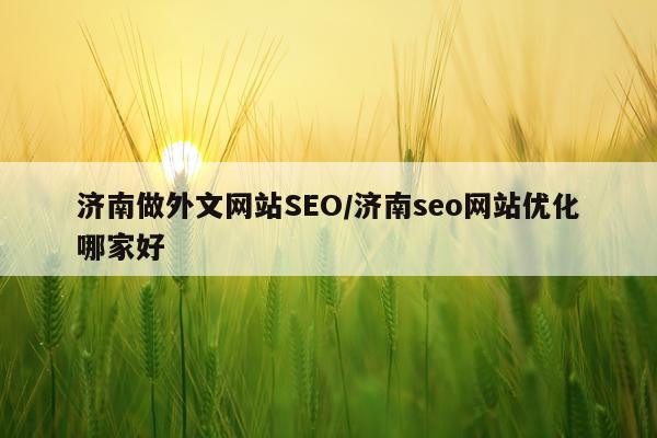 济南做外文网站SEO/济南seo网站优化哪家好