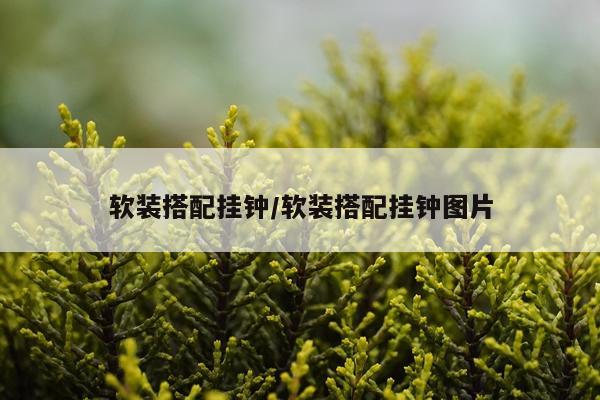 软装搭配挂钟/软装搭配挂钟图片