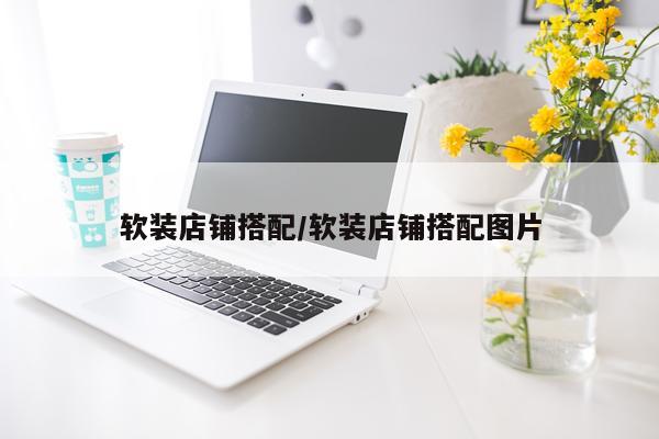 软装店铺搭配/软装店铺搭配图片