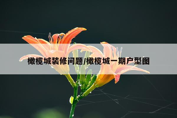 橄榄城装修问题/橄榄城一期户型图