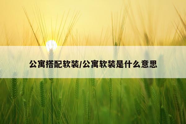 公寓搭配软装/公寓软装是什么意思