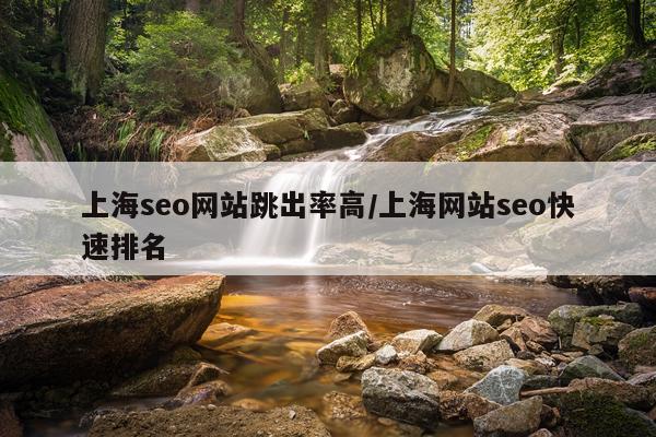上海seo网站跳出率高/上海网站seo快速排名