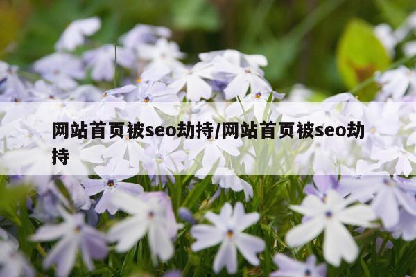 网站首页被seo劫持/网站首页被seo劫持