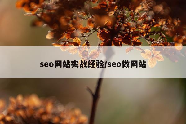 seo网站实战经验/seo做网站