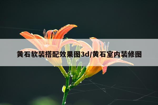 黄石软装搭配效果图3d/黄石室内装修图