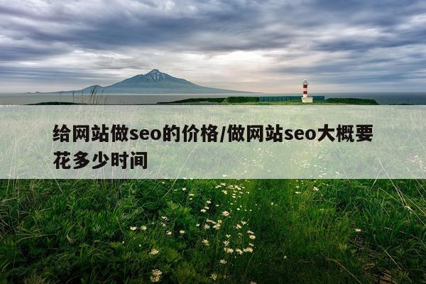 给网站做seo的价格/做网站seo大概要花多少时间