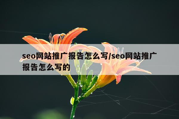 seo网站推广报告怎么写/seo网站推广报告怎么写的