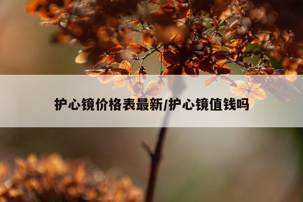 护心镜价格表最新/护心镜值钱吗