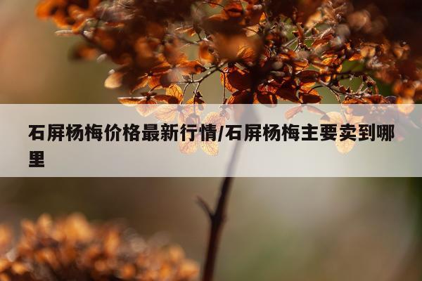 石屏杨梅价格最新行情/石屏杨梅主要卖到哪里