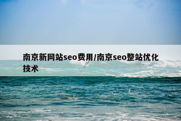 南京新网站seo费用/南京seo整站优化技术