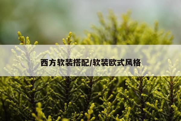西方软装搭配/软装欧式风格