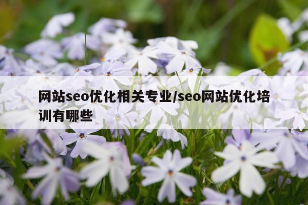 网站seo优化相关专业/seo网站优化培训有哪些