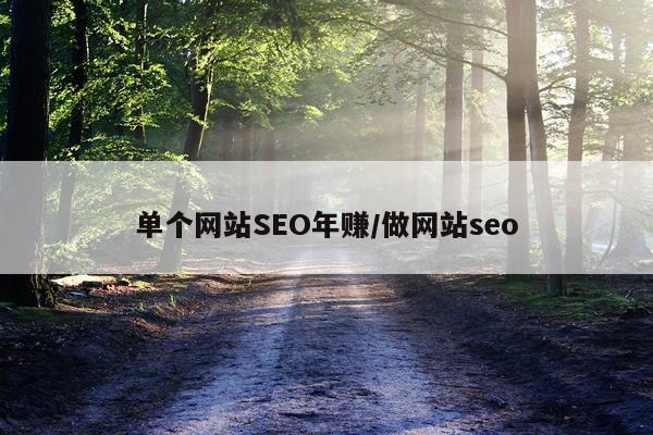 单个网站SEO年赚/做网站seo